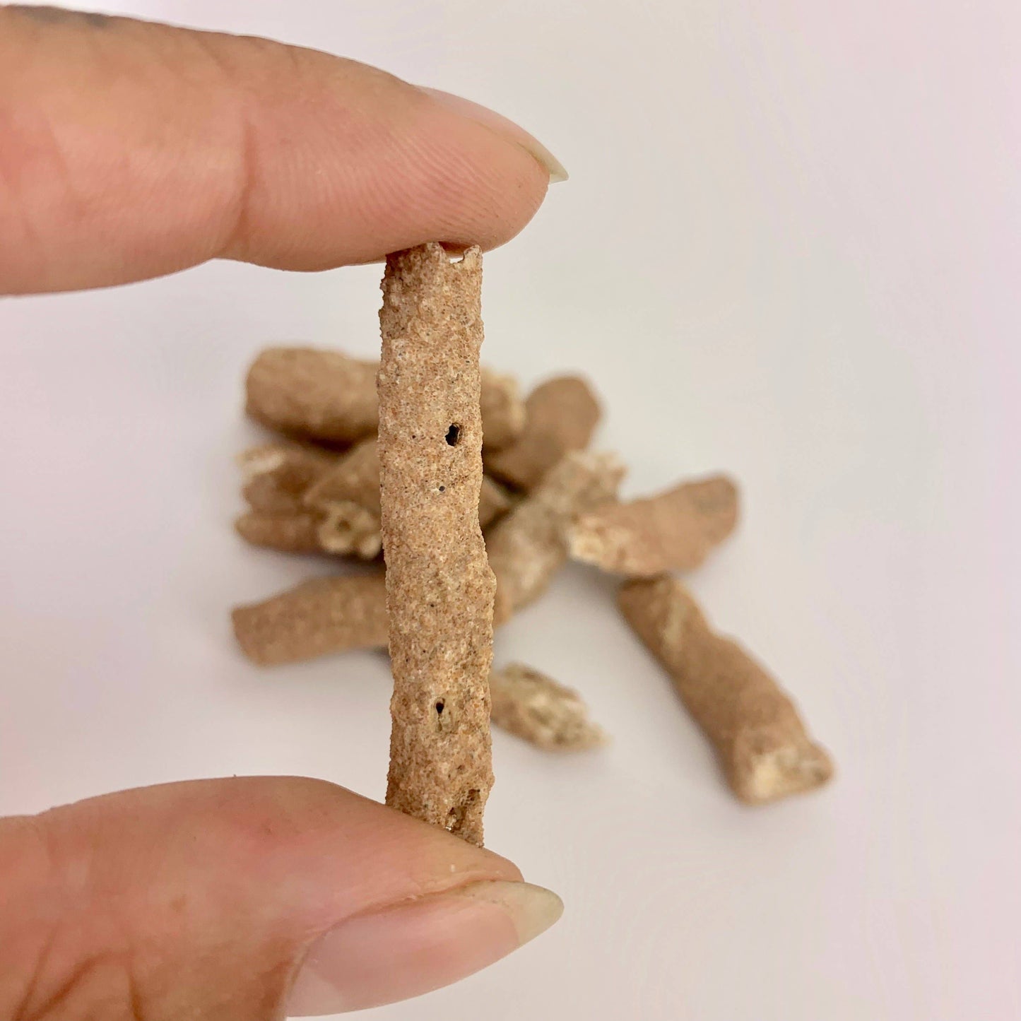 Fulgurite - FOSSILIZED LIGHTNING | 35-45mm | Morocco